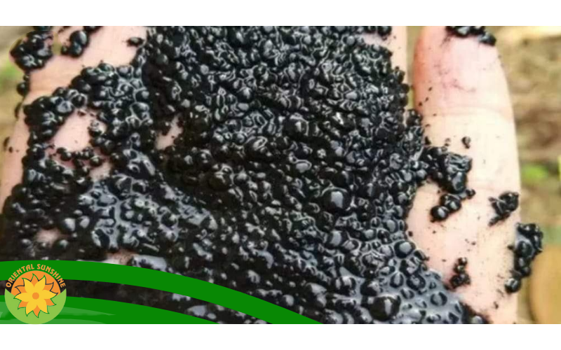 5 Sự cố thường gặp với Bùn Hoạt tính trong Hệ Thống xử lý nước thải và cách khắc phục