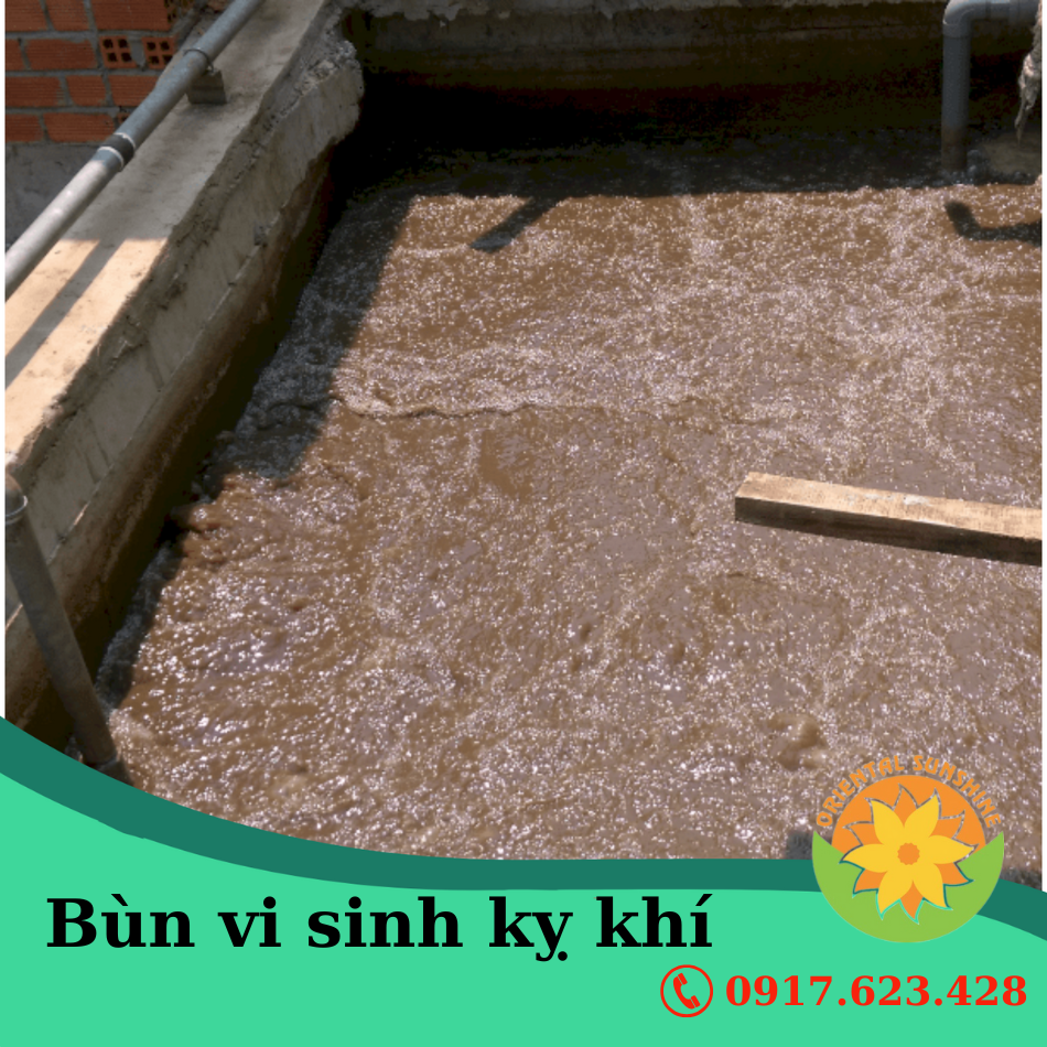 Bùn vi sinh kỵ khí
